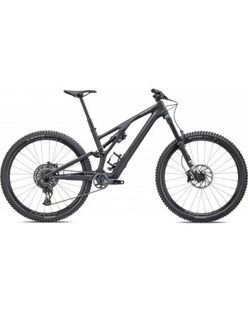 STUMPJUMPER EVO EXPERT