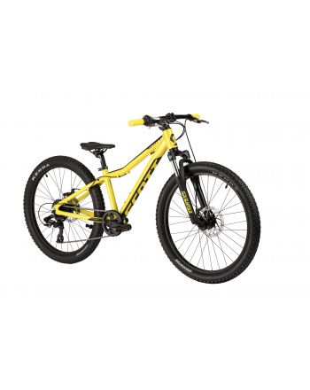 Scale 24 disc yellow