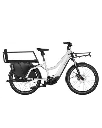 Multicharger Mixte GT vario 750 - 47cm TESTRAD
